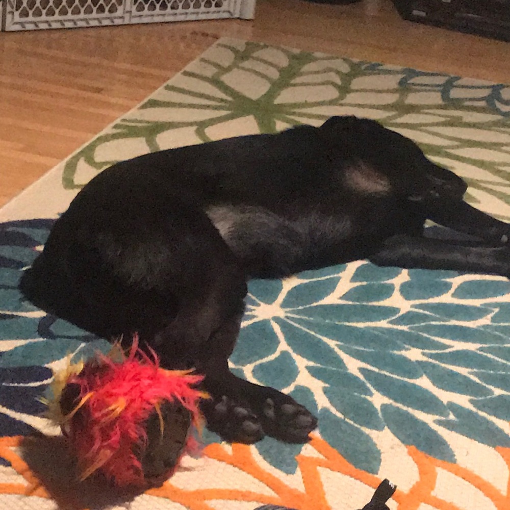 Meet your Posher, Michelle